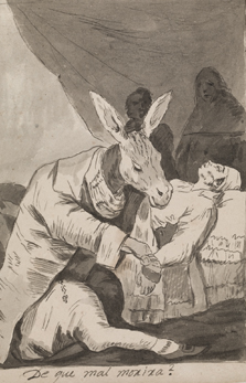 Asno médico de los Caprichos de Goya en el curso de contratación con la administración pública